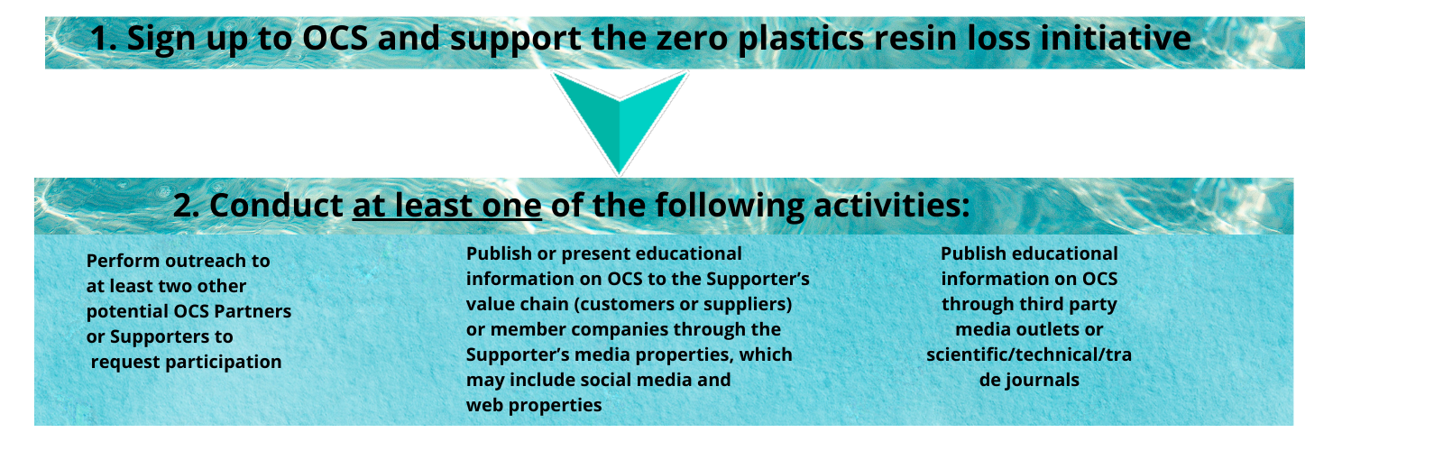 Supporter Pledge 2